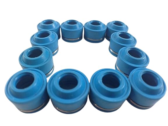 SSI Set of 12, Valve Stem Seals For Triumph Thunderbird SPORT 1998?2004