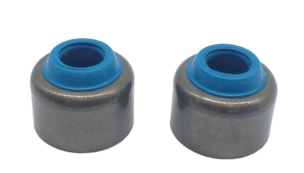 Fits Yamaha TT-R110E TTR110E TTR 110 E "08 - 21" - FKM Valve Seals - Set of 2
